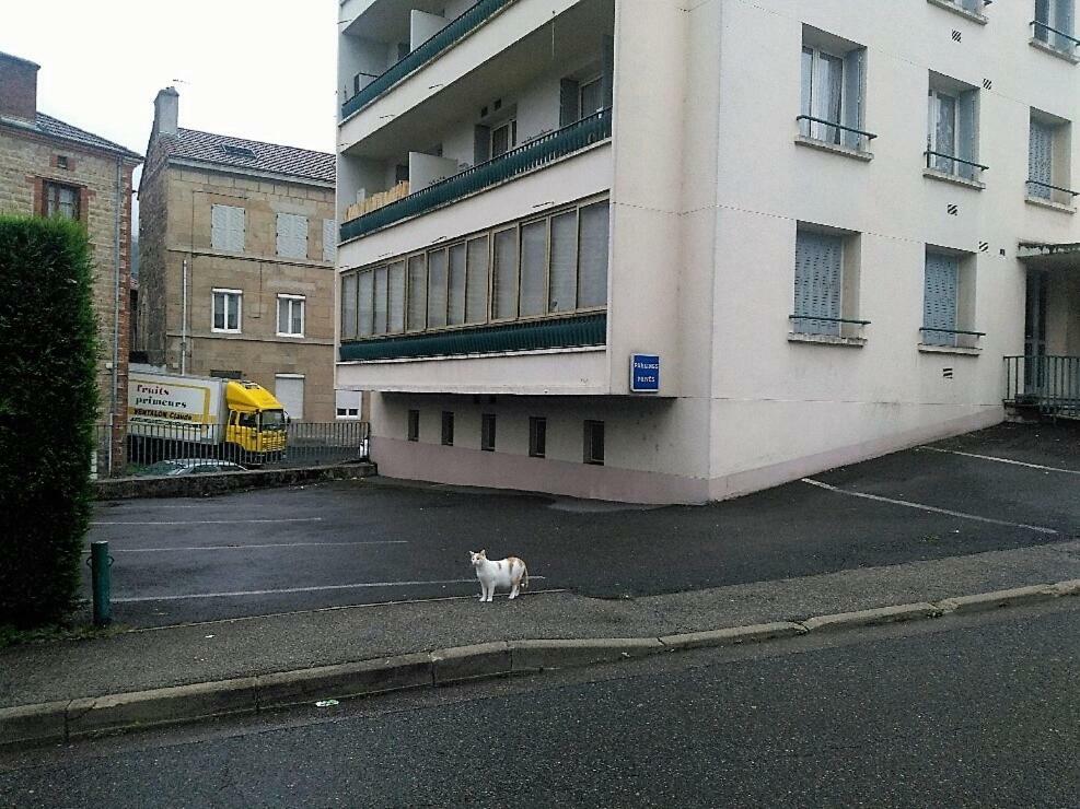 Bel Appartement A Vivre Saint-Etienne  Bagian luar foto